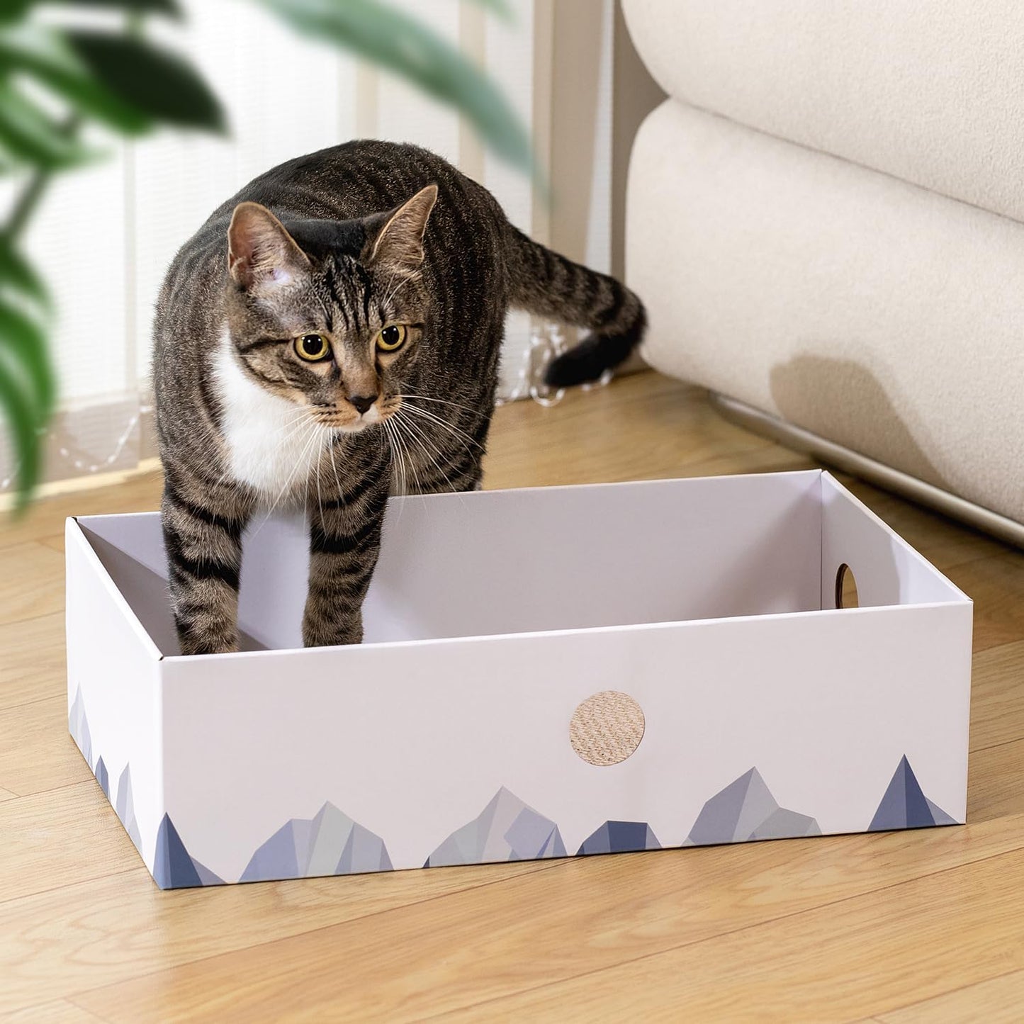 Cat Scratcher Box with Heavy-Duty Double-Sided Cardboard Pad, Cardboard Lounger, Interactive Hole Design, Cat Bed for Indoor Cats, White, Large
