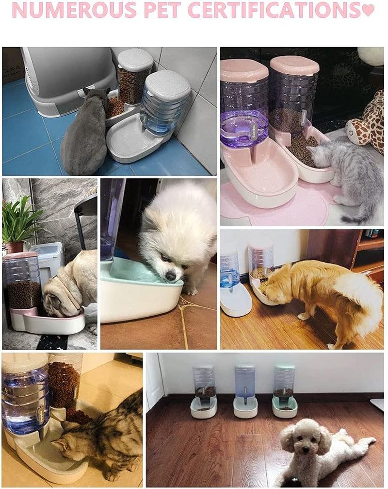 Pet Supplies Cat/Dog High Capacity Feeder and Water Dispenser Set, Natural Gravity without Electricity, Water Storage Capacity 3.8L, Grain Storage Capacity 2.1Kg, Blue