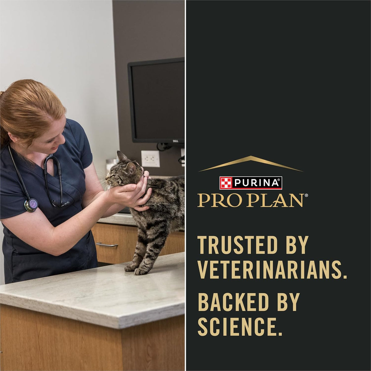 Purina Pro Plan Weight Management Dry Cat Food with Chicken & Rice - 7 lb Bag for Healthy Weight Control