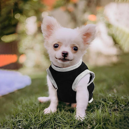 Small Dog Shirts — Cute Puppy Clothes for Chihuahua, Yorkie & Small Breeds | 4-Pack