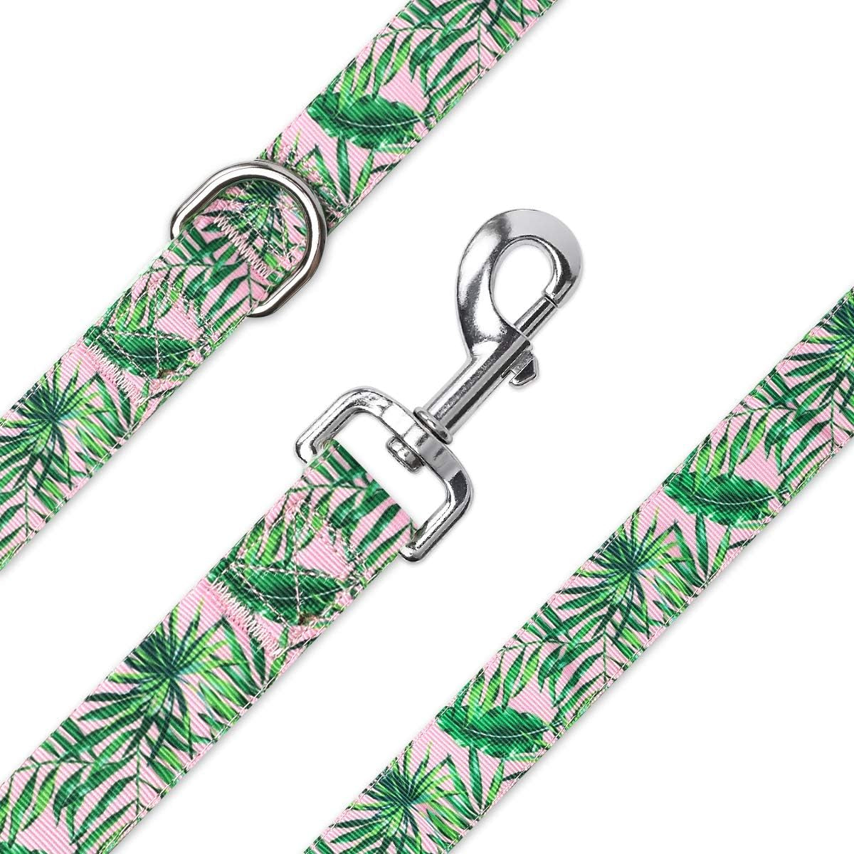 Pet Supplies, (Designer Collection) Cat Collar, Dog Collar, Cat Leash, Dog Leash, Small Dog Collar, Medium Dog Collar, Large Dog Collar (Sunset in LA Leash, XS)