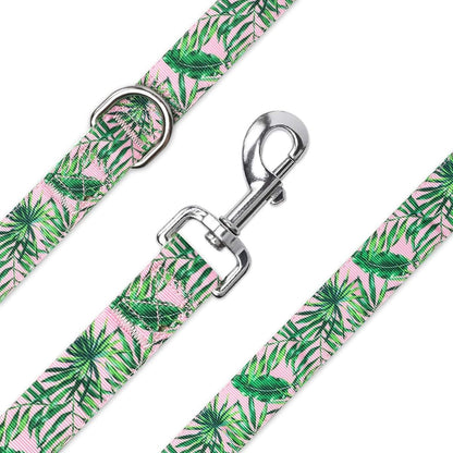 Pet Supplies, (Designer Collection) Cat Collar, Dog Collar, Cat Leash, Dog Leash, Small Dog Collar, Medium Dog Collar, Large Dog Collar (Sunset in LA Leash, XS)