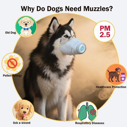 Dog Face Mask Anti Smoke Air Filter Respirator Medium Large Dogs 3 Pack