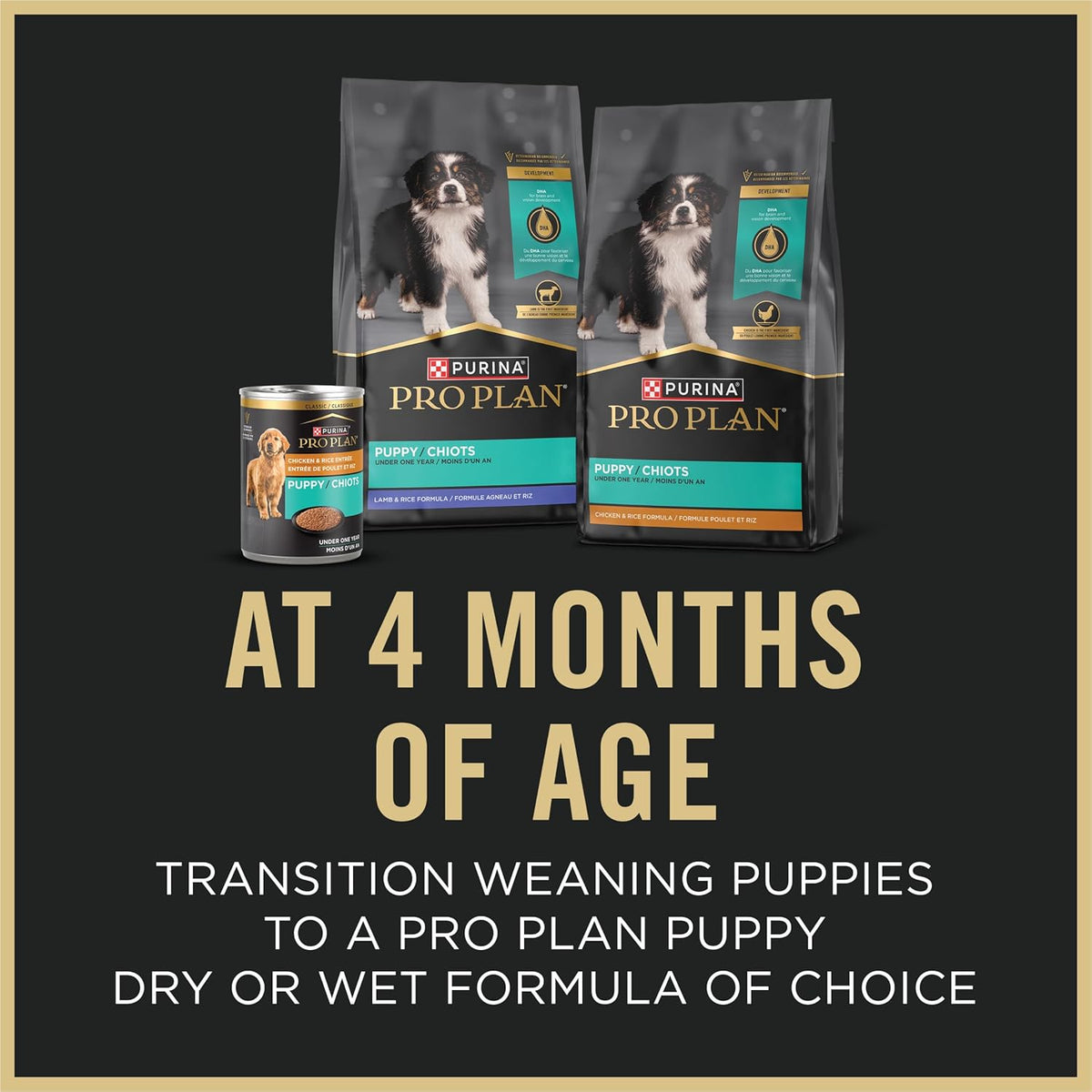 Purina Pro Plan Puppy Starter Mousse Wet Dog Food - 24 Cans of Nutritious 5.5 Oz Meals for Growing Puppies