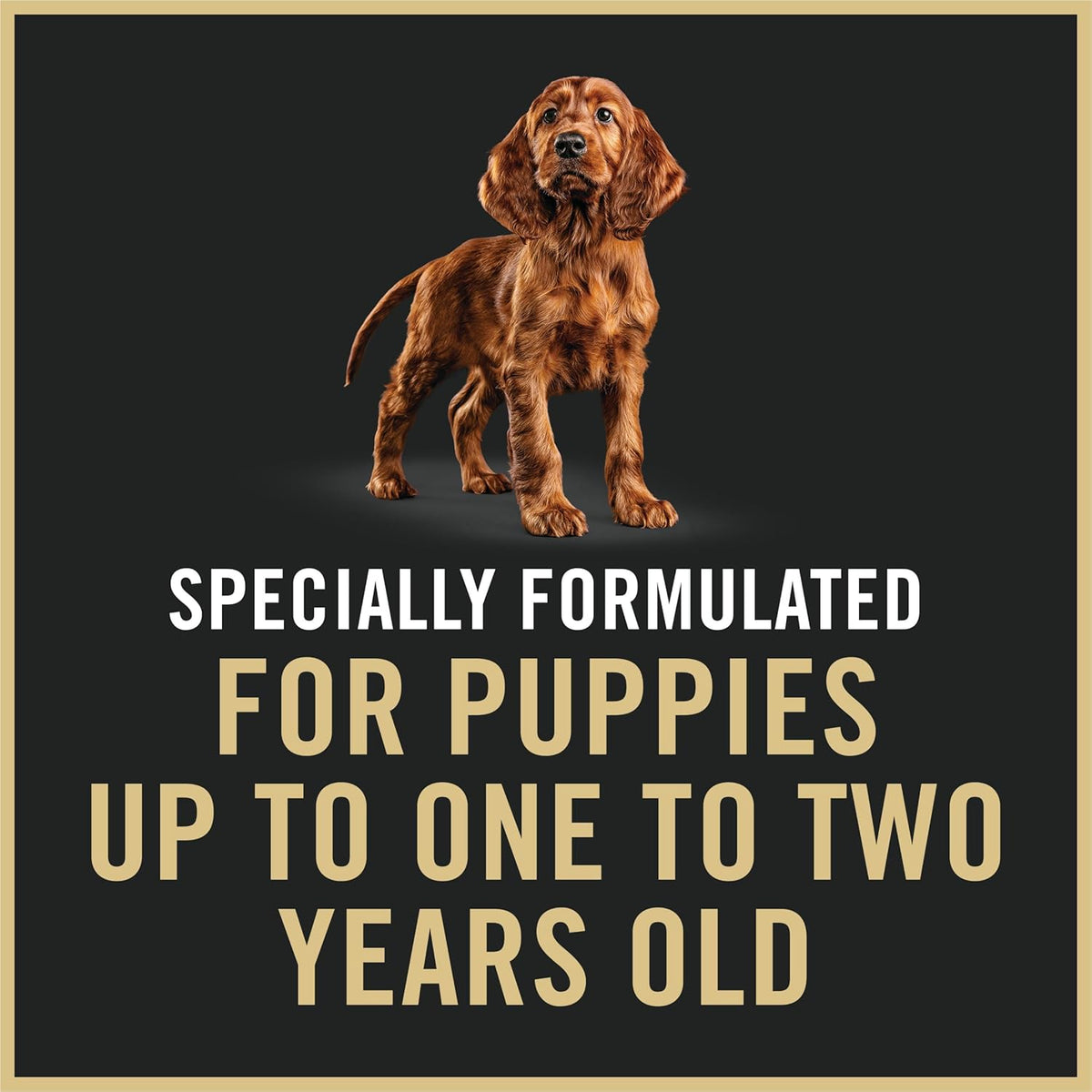 Purina Pro Plan Sensitive Skin & Stomach Wet Puppy Food - 12 Cans (13 Oz Each) for Happy, Healthy Pups!