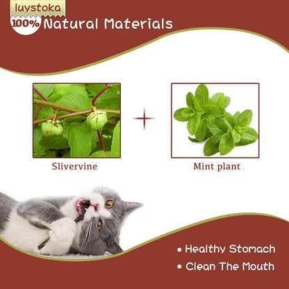 Silvervine Sticks for Cats 10PCS, Silvervine & Matatabi Catnip Toys, Indoor Kitty Chew Sticks & Wand Toys for Bored Cats