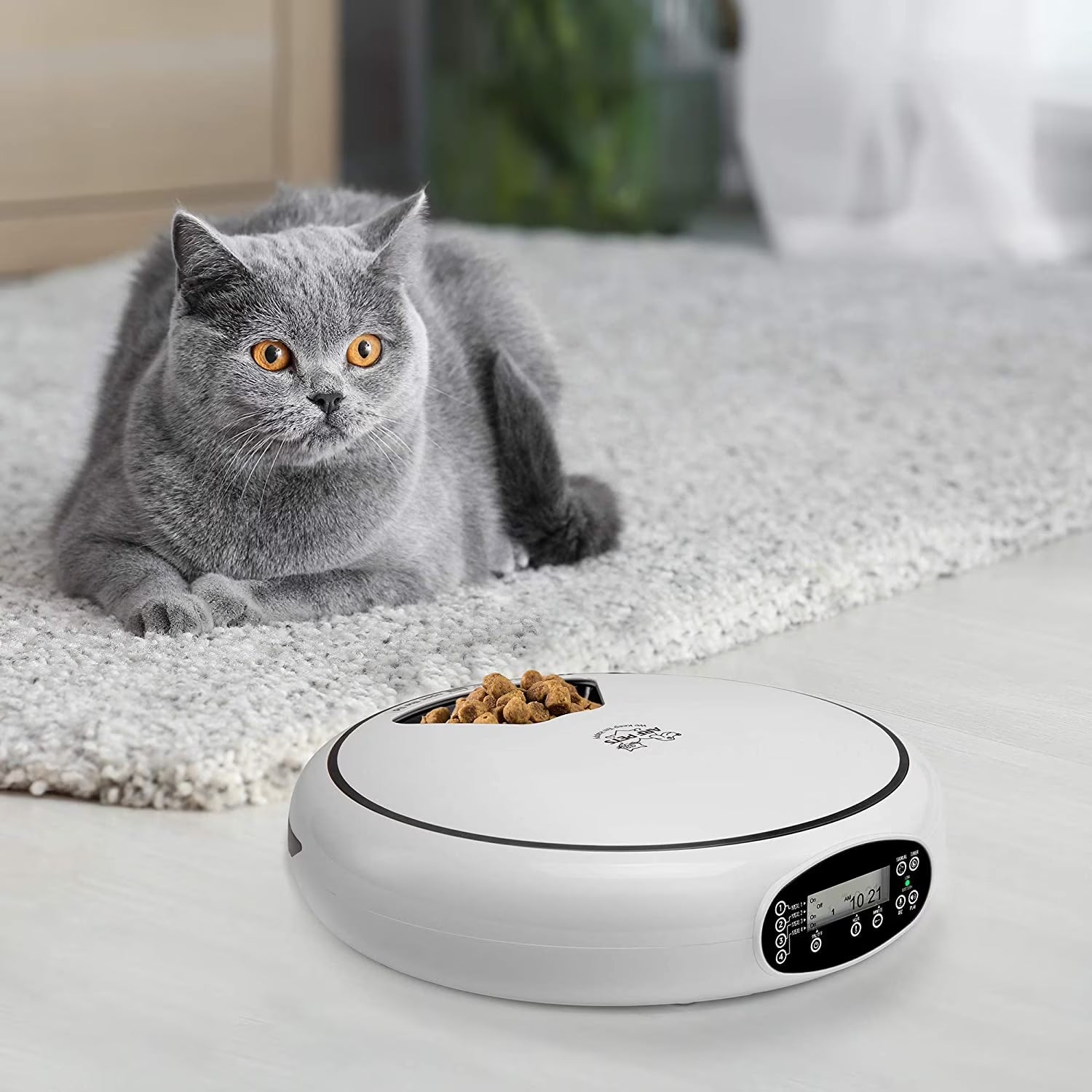 Automatic Pet Feeder 5 Cup Capacity with Programmable Timer, Portion Control, Dishwasher-Safe Tray for Small Dogs & Cats