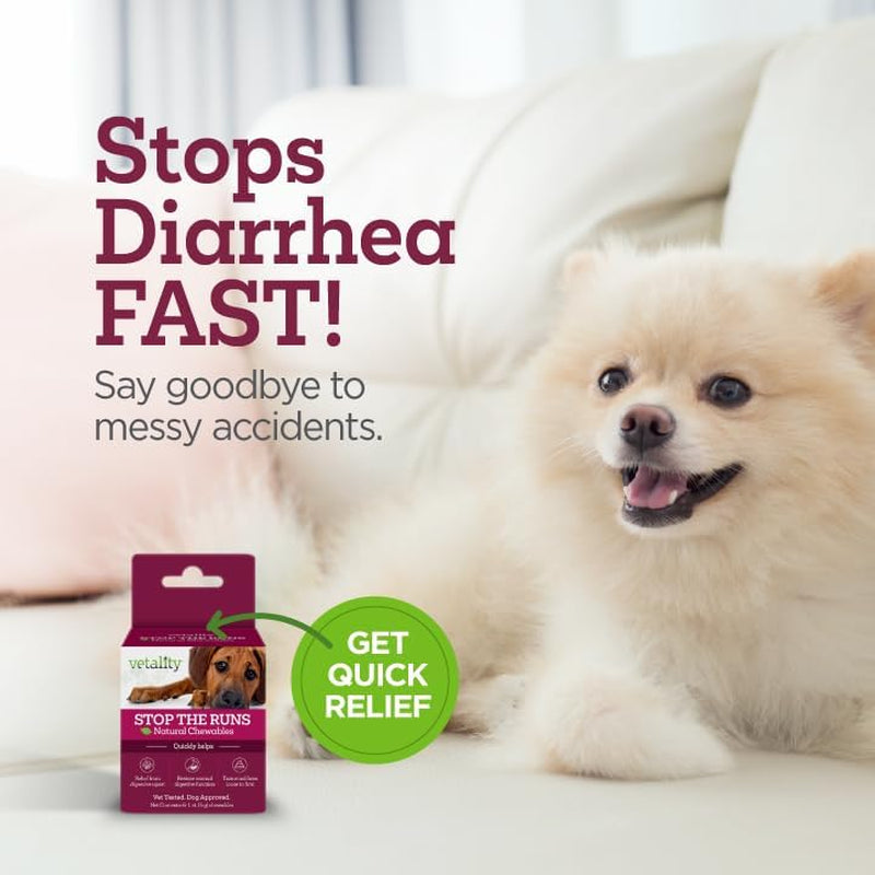 Dog Anti Diarrhea Chews Fast Relief Gut Health Chicken Flavor 6ct