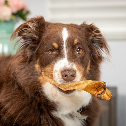 Water Buffalo Prime Select Bone Assortment Dog Chews, Pack of 7 | Long Lasting Treats, Grain Free and Gluten Free, 0.56 Lb Bag, Mix of Shapes and Sizes That Keeps Pups Busy and Satisfied