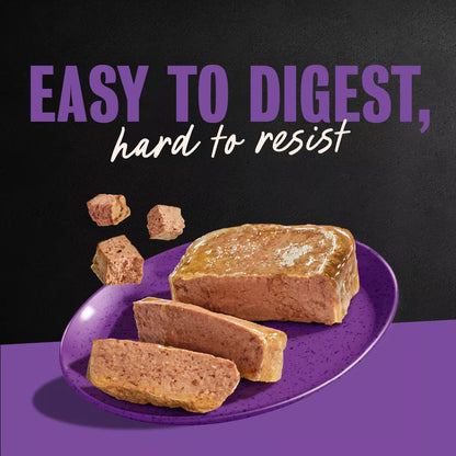 Cesar Classic Loaf in Sauce Grilled Chicken and Gravy Flavor Small Breed Wet Dog Food - 3.5Oz