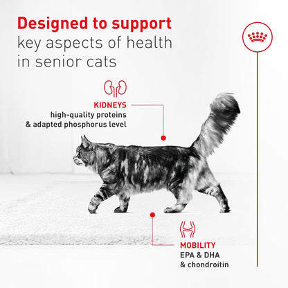 Senior Cat Wet Food 11+ Royal Canin Aging Thin Slices Gravy 3oz 12 Pack