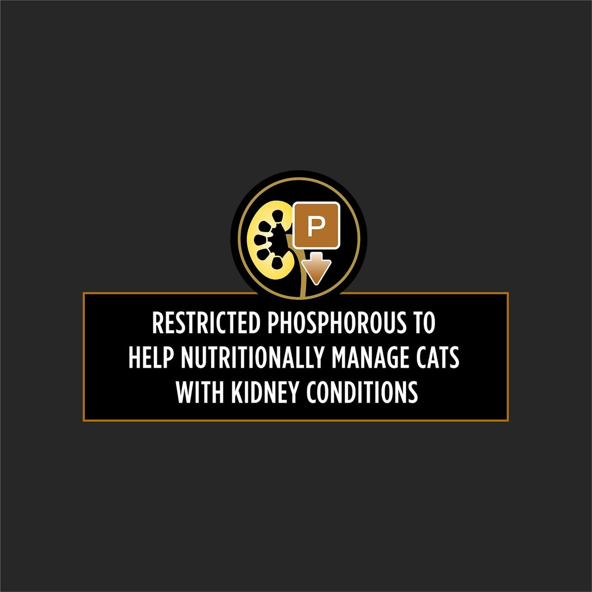 Purina Pro Plan Vet Diets NF Kidney Early Care Wet Cat Food - 24 Pack of 5.5 Oz Cans for Optimal Feline Health