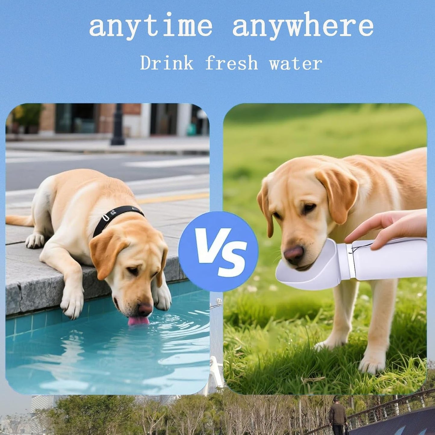 Portable Dog Water Bottle 550ML Collapsible Travel Bowl Leakproof