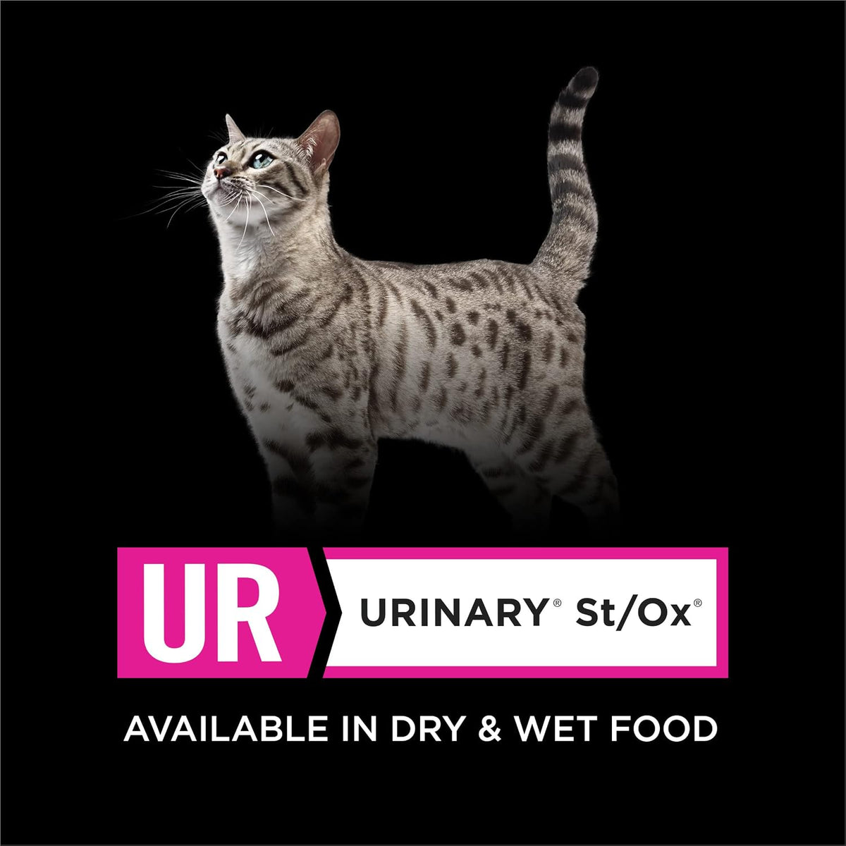 Purina Pro Plan Vet UR Urinary St/Ox Wet Cat Food - Turkey Flavor, 24 Pack of 5.5 Oz Cans