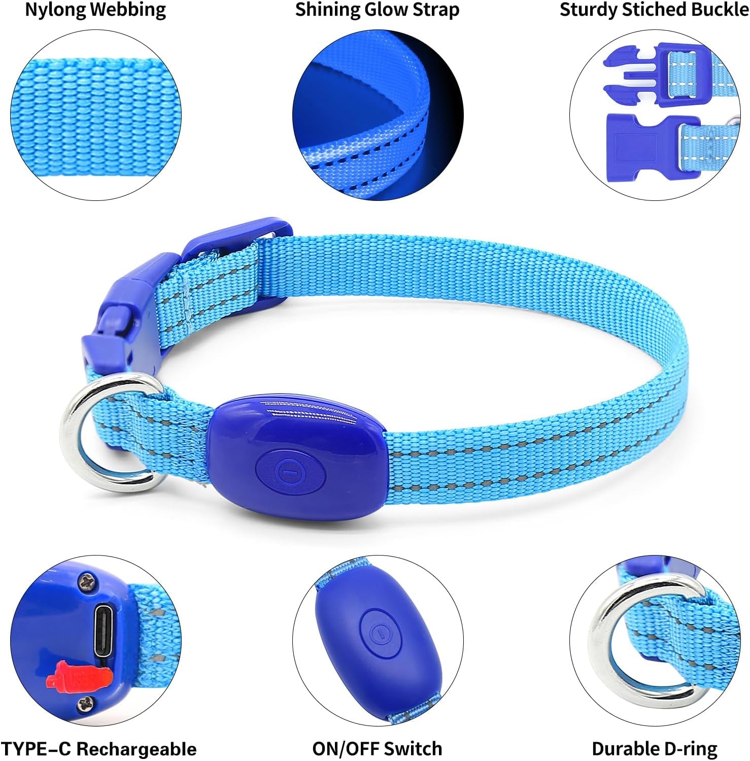 Light up Dog Collar for Small Dogs& Cats, Reflective LED Dog Collar Rechargeable Glowing Puppy Collar Safety Dog Lights for Night Walking (Royal Blue)
