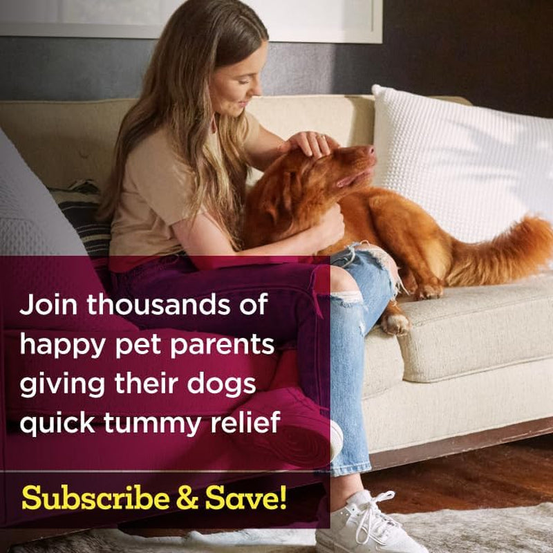 Dog Anti Diarrhea Chews Fast Relief Gut Health Chicken Flavor 6ct