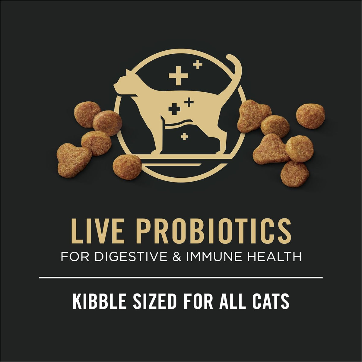 Purina Pro Plan All Life Stages Chicken Formula Dry Cat Food - 3.2 lb Bag for Optimal Nutrition