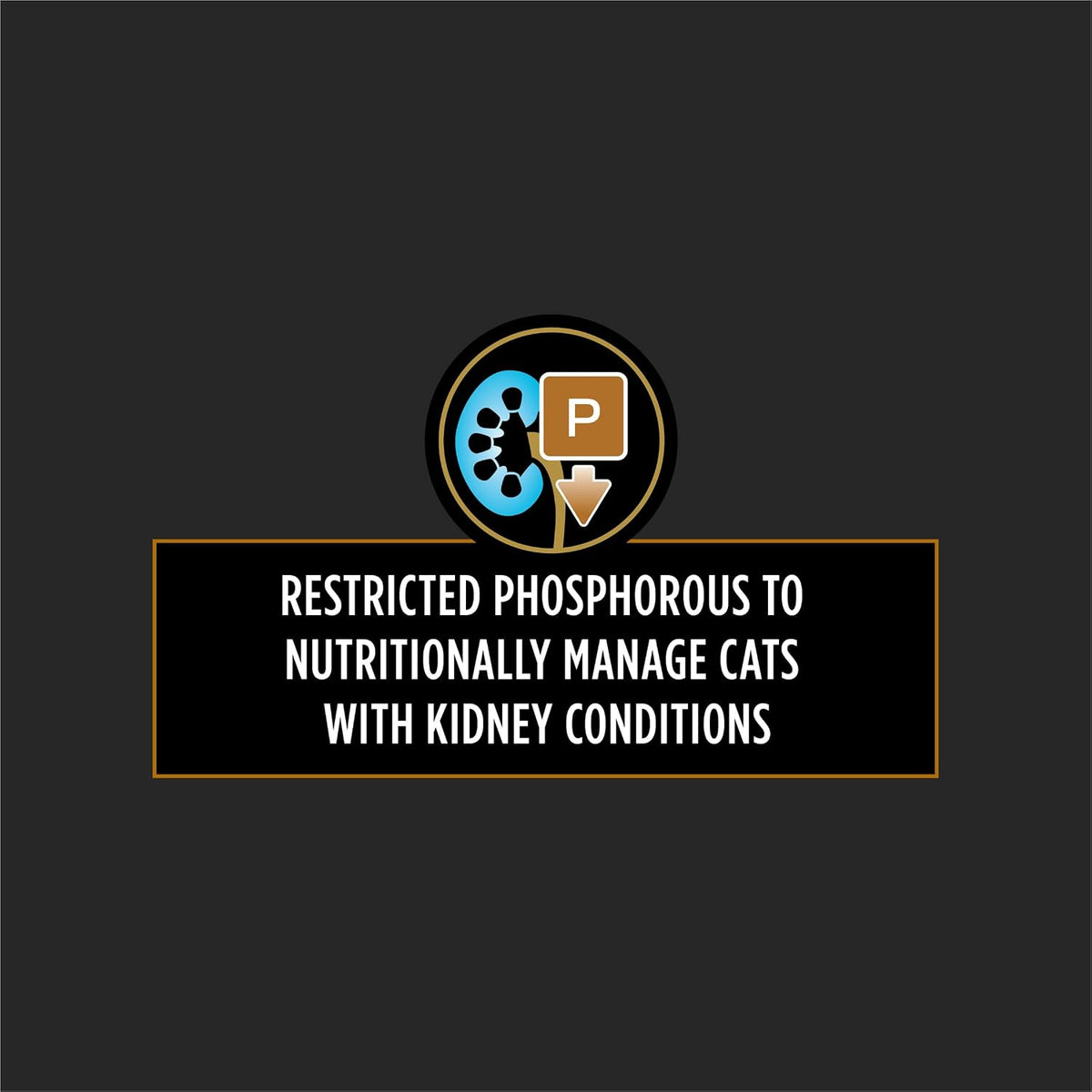 Purina  NF Kidney Function Advanced Cat Food - 24 Pack of 5.5 Oz Cans