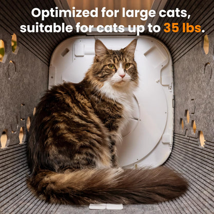Cat Self Groomer Plus 360 Brush Fur Collector for Large Cats