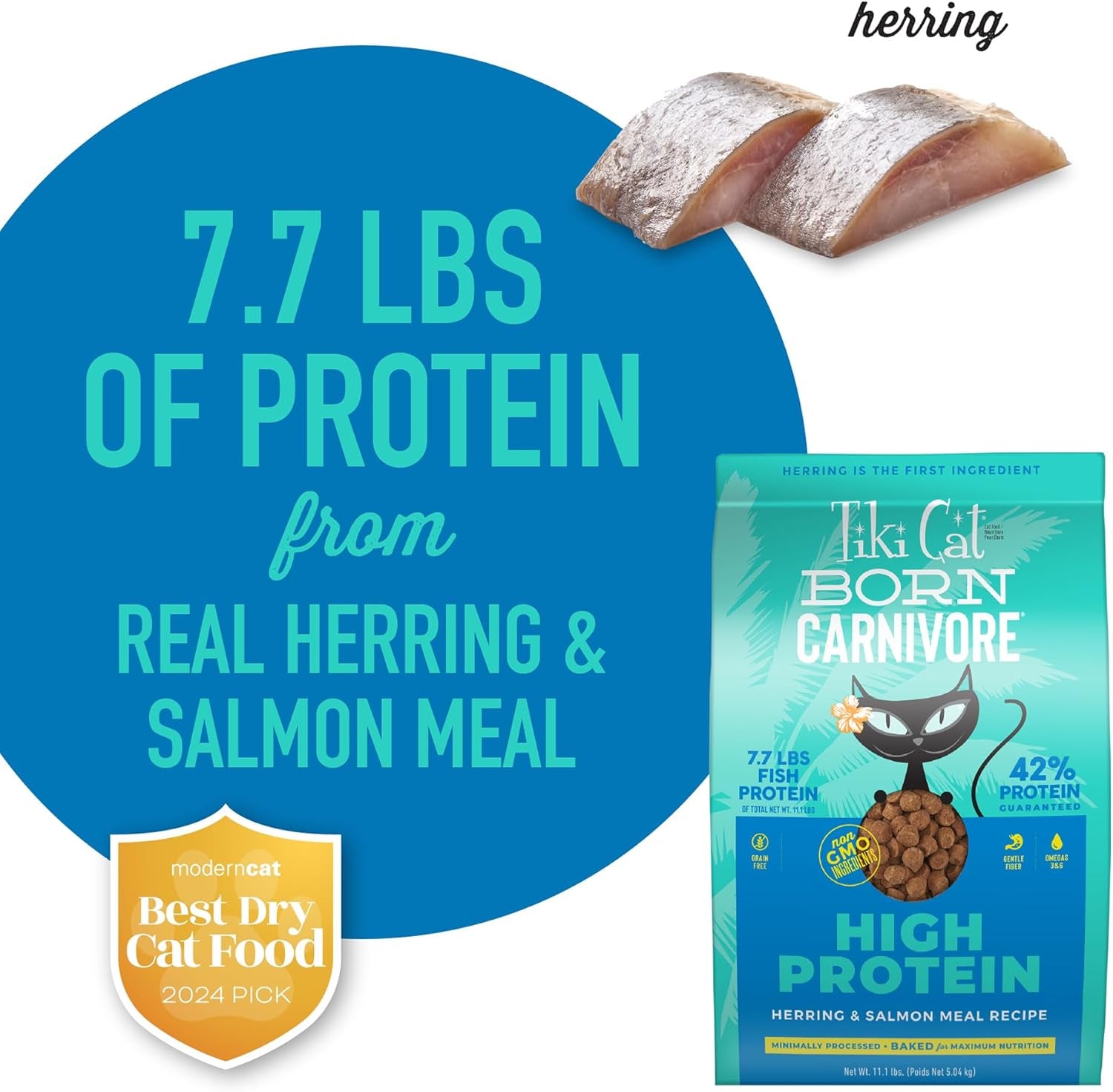 Tiki Cat Born Carnivore Dry Cat Food, Herring & Salmon Meal, 11.1 Lbs. Bag | Dry Cat Food, Baked Kibble to Maximize Nutrients, High Protein, Herring and Salmon Meal, Minimally Processed, 11.1 Lbs. Bag