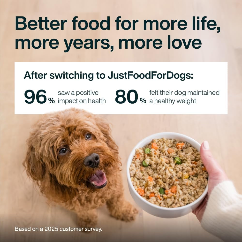 Pantry Fresh Wet Dog Food, Complete Meal or Dog Food Topper, Beef & Russet Potato Human Grade Dog Food Recipe - 12.5 Oz (Pack of 6) | Fresh Pet Meal or Fresh Dog Food Topper, Human Grade Recipe Made with Whole Foods, Preservative-Free, 12.5 Oz per Pack