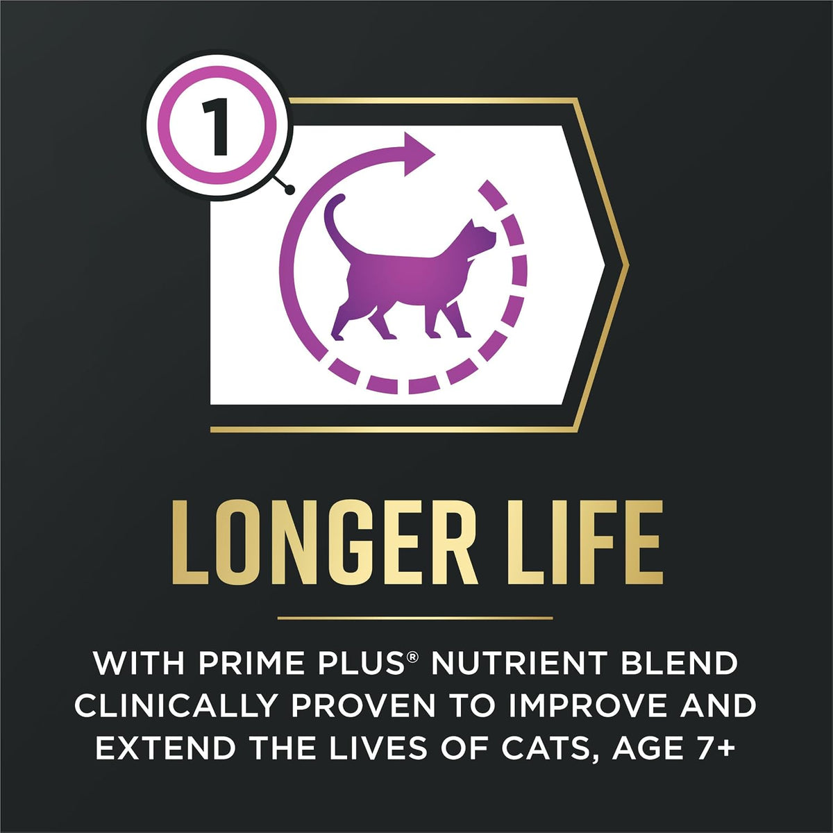 Purina Pro Plan Advantedge Senior Support Dry Cat Food with Chicken - 12 lb Bag for Optimal Health and Vitality
