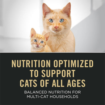 Purina Pro Plan All Life Stages Chicken Formula Dry Cat Food - 3.2 lb Bag for Optimal Nutrition
