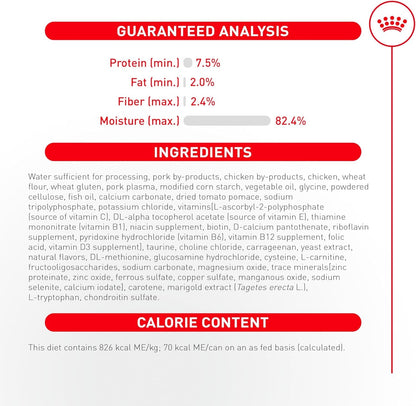 Senior Cat Wet Food 11+ Royal Canin Aging Thin Slices Gravy 3oz 12 Pack