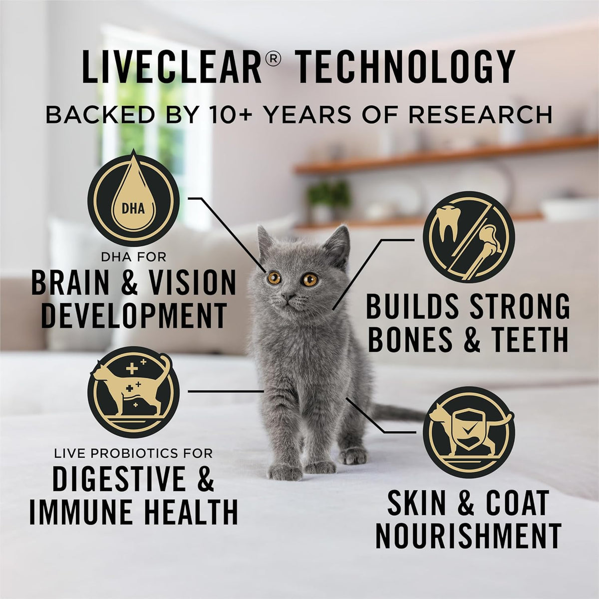 Purina Pro Plan Liveclear Chicken & Rice Dry Kitten Food - 5.5 lb Bag for Happy, Healthy Kittens