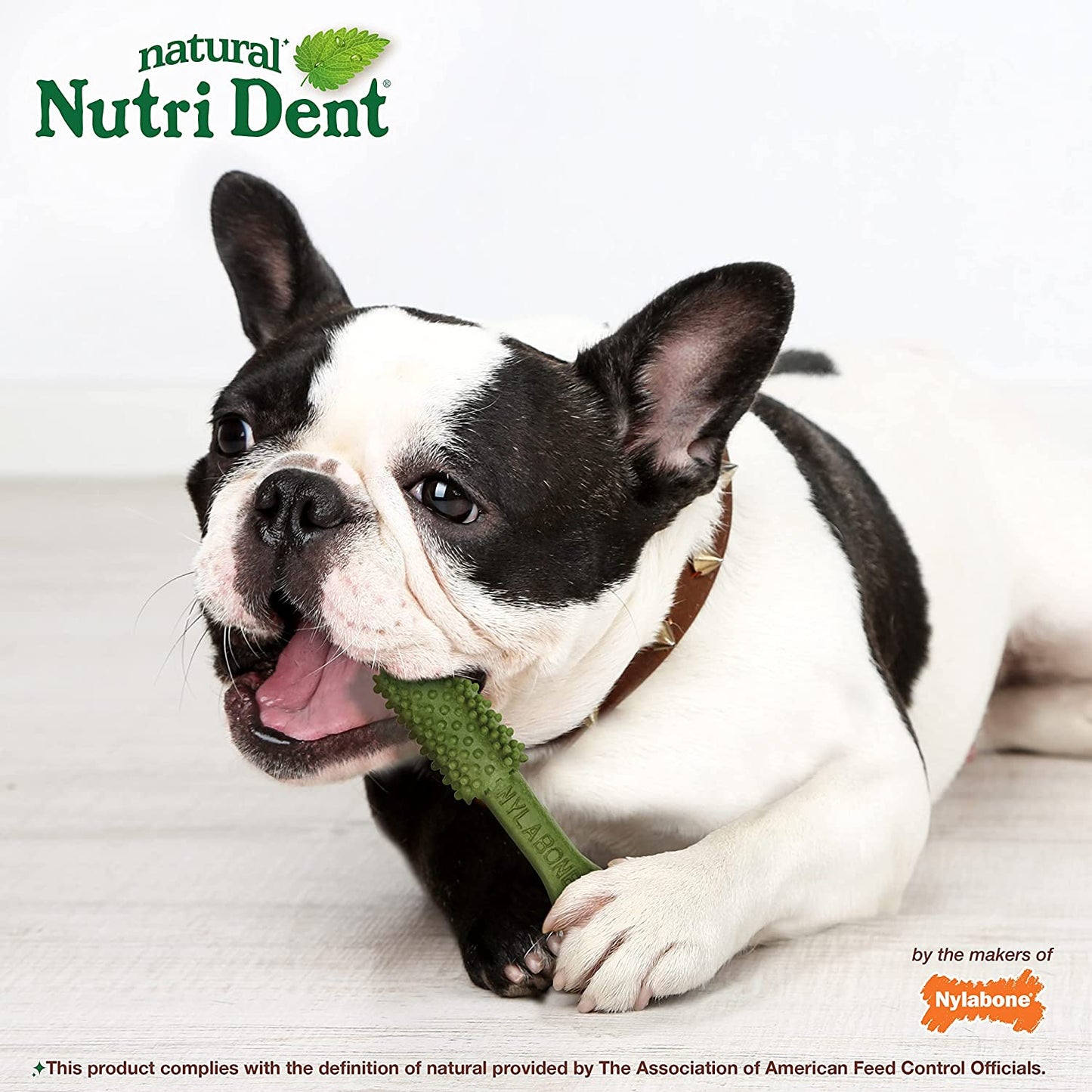 Nutri Dent Dog Dental Treats - Natural Dog Teeth Cleaning & Breath Freshener - Dental Treats for Dogs - Fresh Breath Flavor, Medium (40 Count) | for Medium Dogs 15-30 Lbs, Natural Dog Dental Chews, Helps Clean Teeth & Freshen Breath, Usa-Made, Vet Recommended