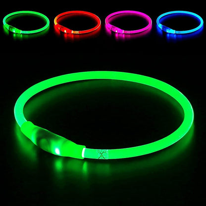 Led Dog Collar,  USB Rechargeable Flash Light up Dog Collar | Pet Safety Necklace Makes Your Beloved Dogs Be Seen at Night for Small Medium Large Dogs(Green)