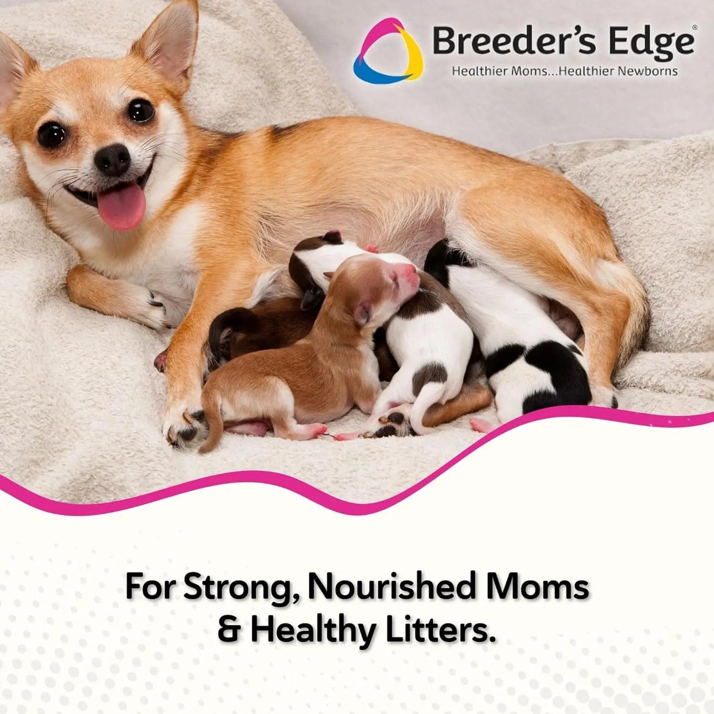 Postnatal Soft Chews for Lactating Dogs & Cats, Breeder Support, 40 Ct