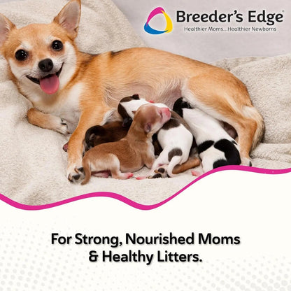 Postnatal Soft Chews for Lactating Dogs & Cats, Breeder Support, 40 Ct
