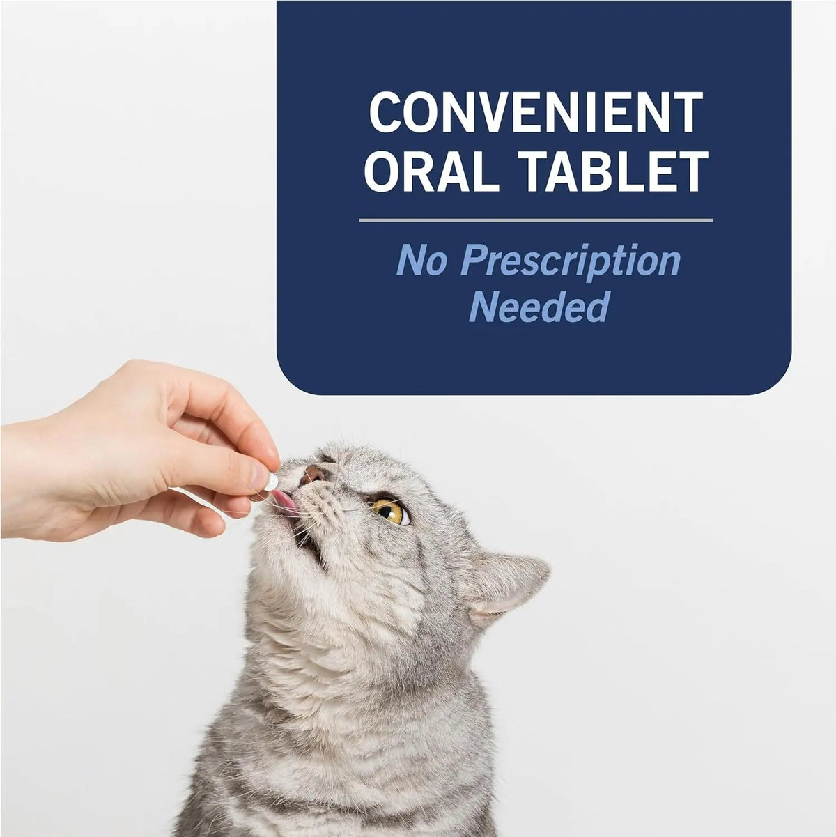 CAPACTION Oral Flea Tablets for Cats 2–25 lbs – 6 Doses, Fast-Acting Relief