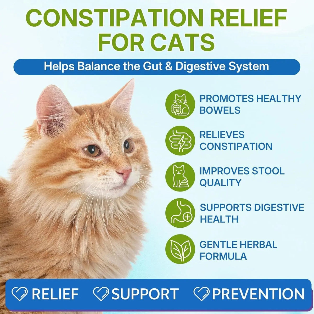 Cat Constipation Relief – Natural Digestive Support Liquid, 60 mL