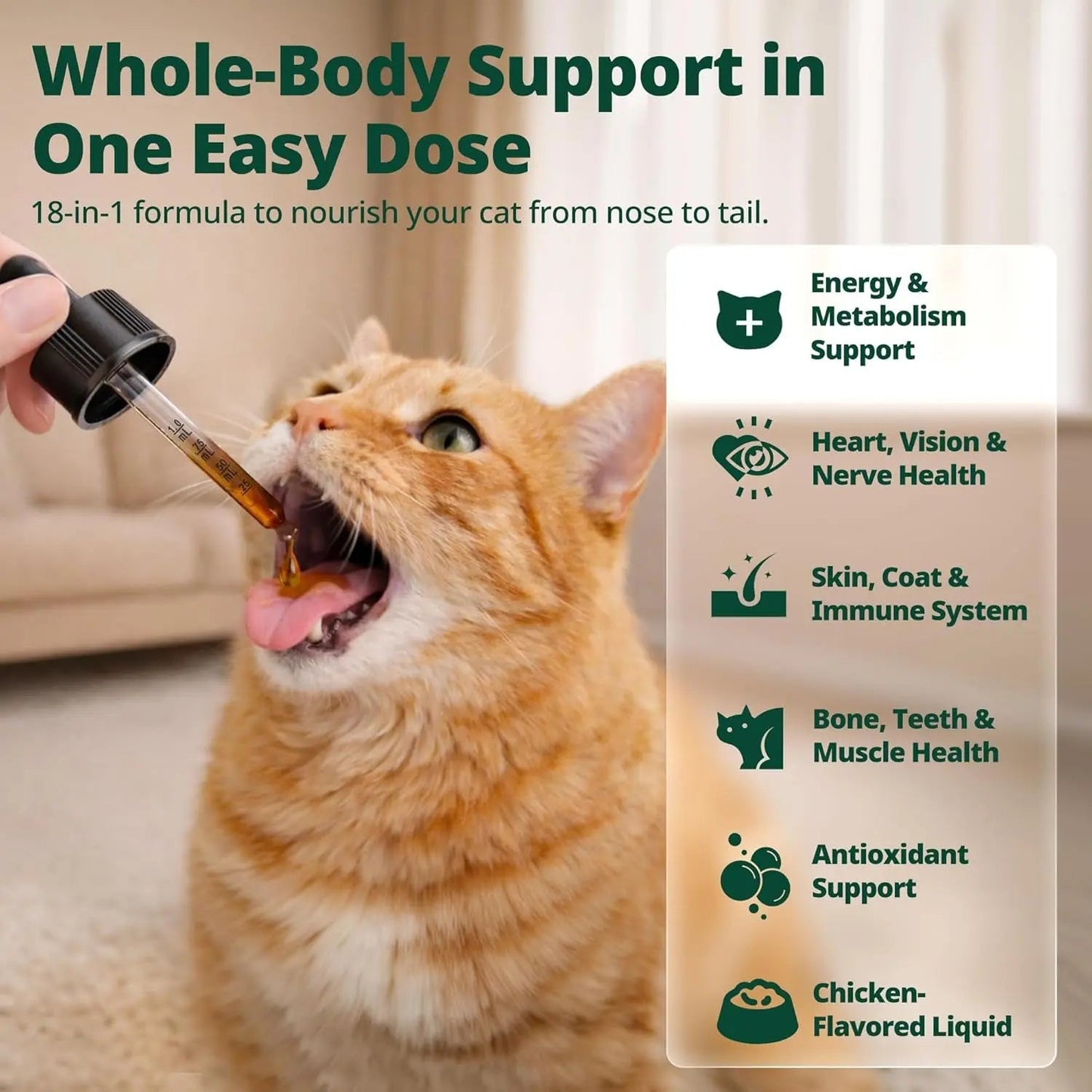 Cat Liquid Multivitamin Taurine Lysine Skin Coat Immune Support 2oz
