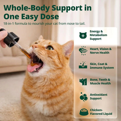 Cat Liquid Multivitamin Taurine Lysine Skin Coat Immune Support 2oz