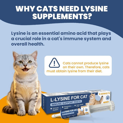 Cat Lysine Paste Immune Respiratory Eye Support Taurine Omega 3 Chicken 60ml