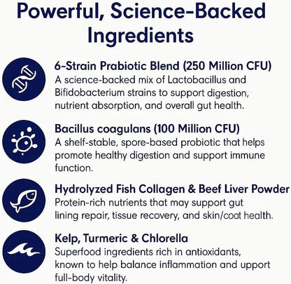 Cat Probiotic Drops: Essential Digestive Support for Happy, Healthy Cats