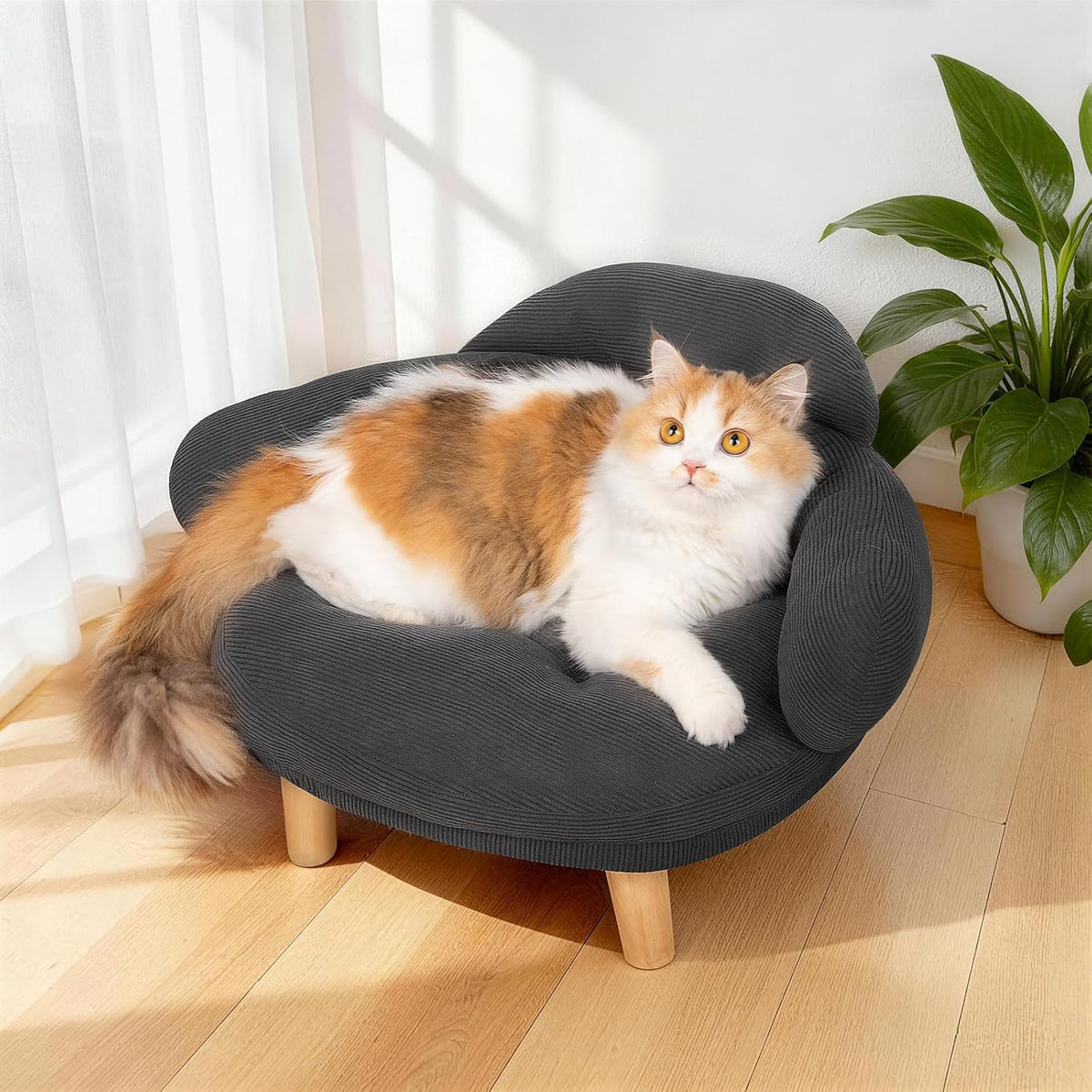 Cat Sofa Bed Furniture Style Velvet Pet Couch with Wood Legs Small Dogs