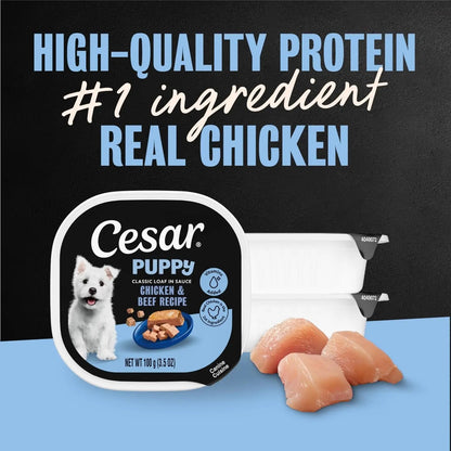 Cesar Puppy Classic Wet Dog Food Chicken & Beef or Variety Pack 3.5oz 24ct