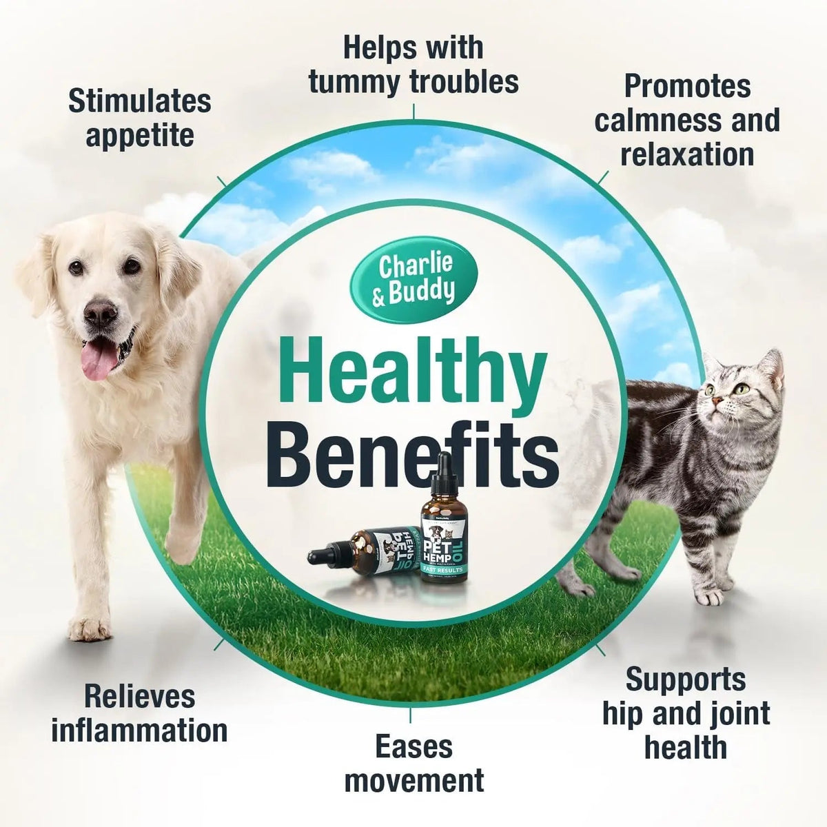 Charlie & Buddy Hemp Oil for Dogs & Cats, Calming & Joint Support