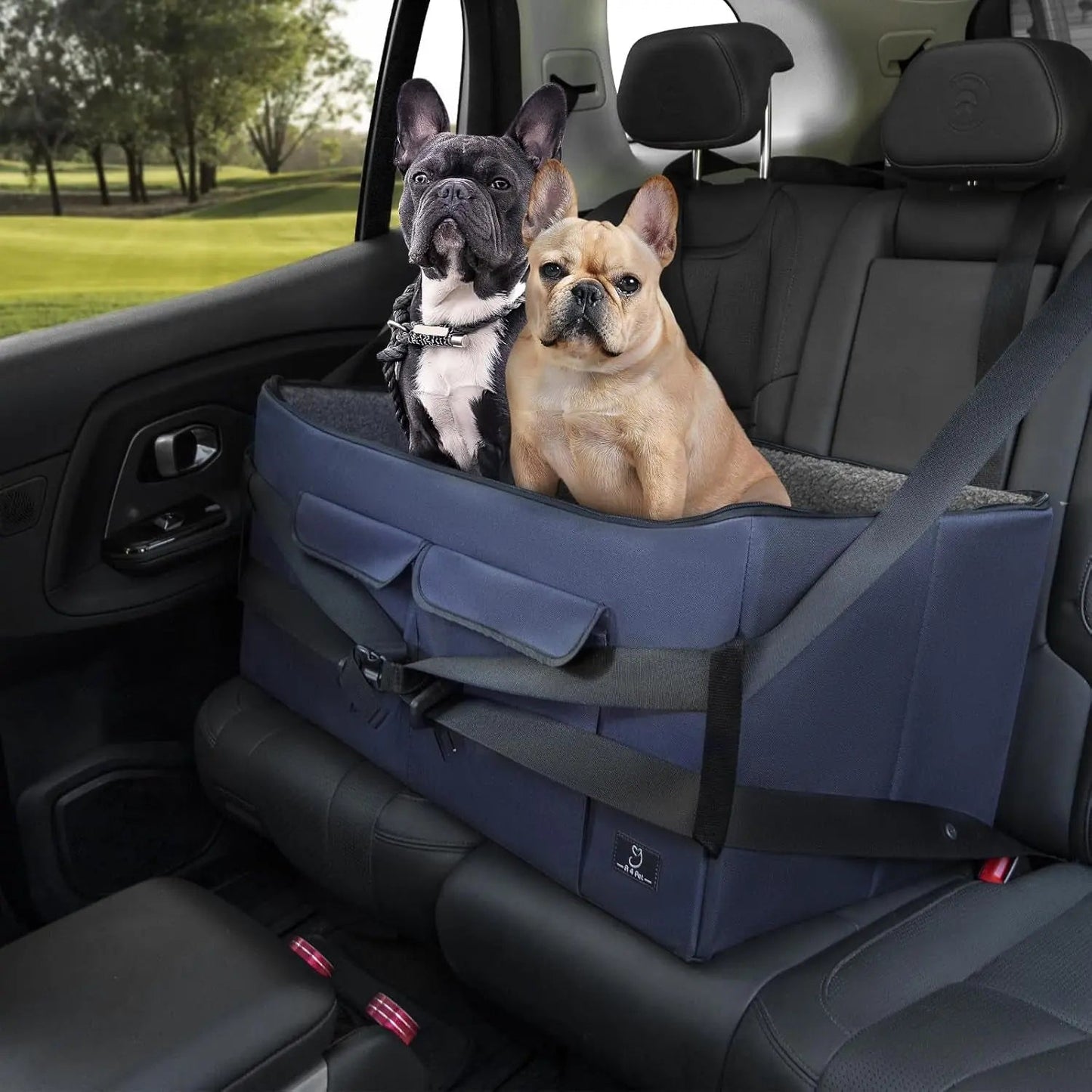 Dog Car Seat Booster for Small Dogs Under 25lbs, Travel Safety Seat with Leash