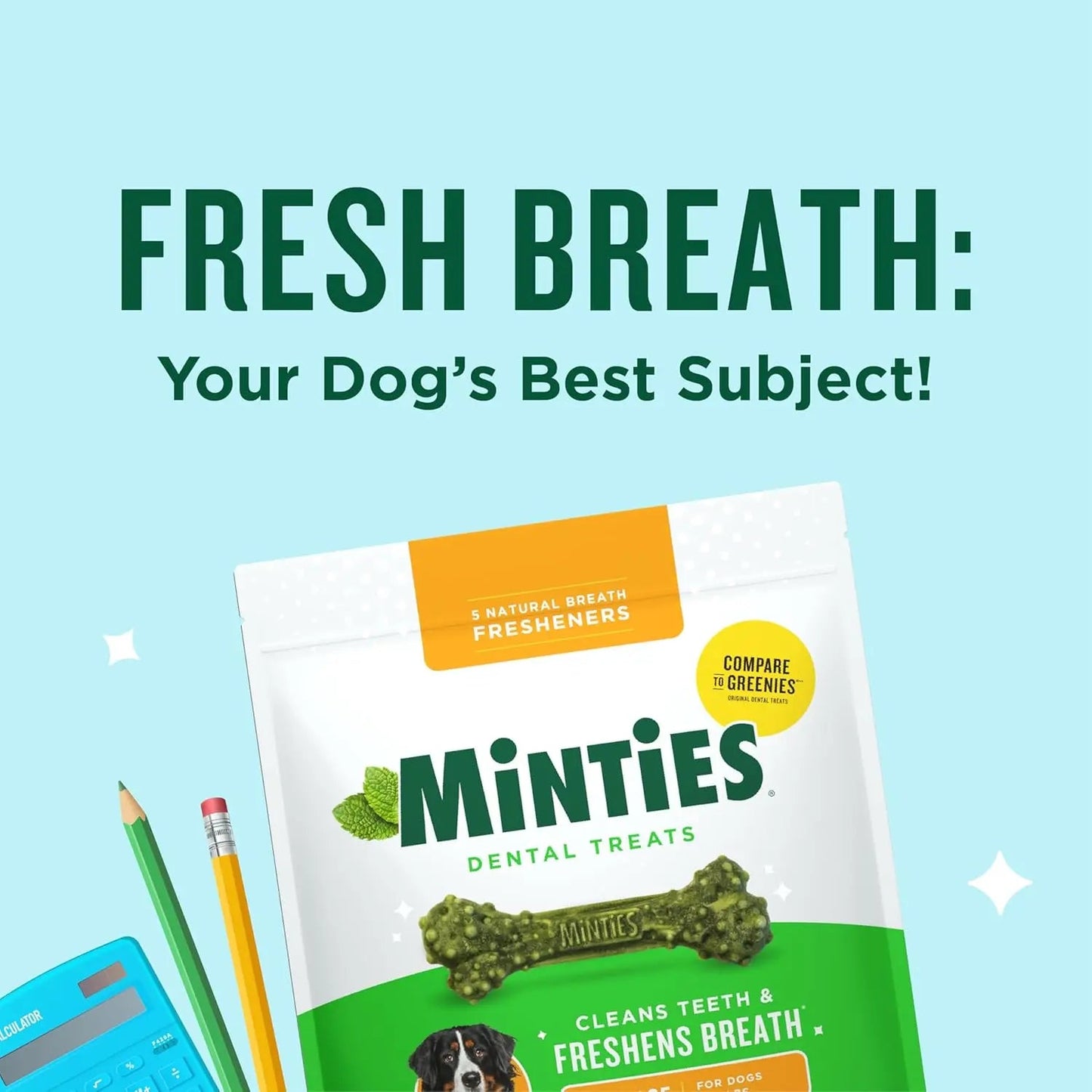 Minties Dental Dog Treats – Vet-Recommended Mint Bones for Clean Teeth