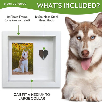 Green Pollywog Pet Memorial Shadowbox | Collar, Tag & Photo Keepsake
