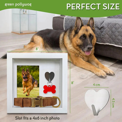 Green Pollywog Pet Memorial Shadowbox | Collar, Tag & Photo Keepsake
