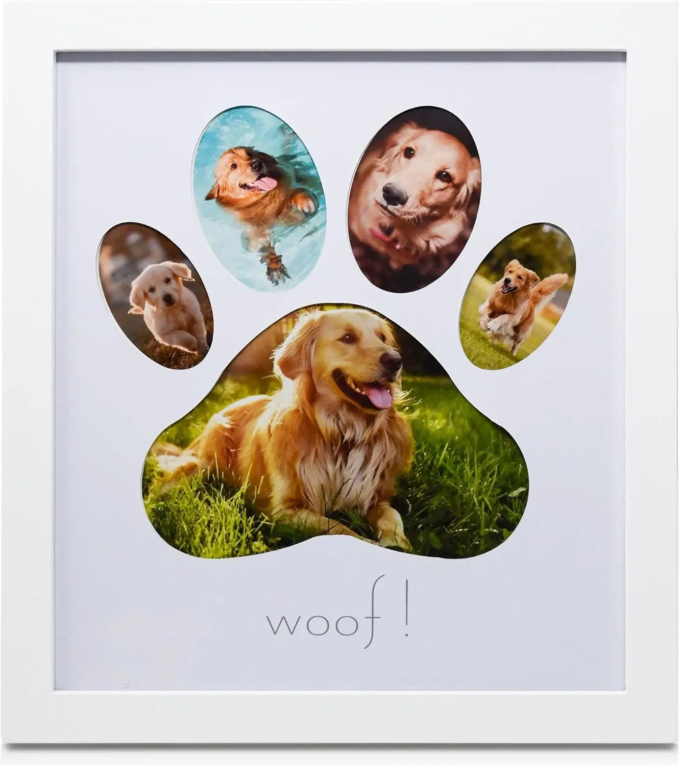 Green Pollywog Pet Memorial Shadowbox | Collar, Tag & Photo Keepsake