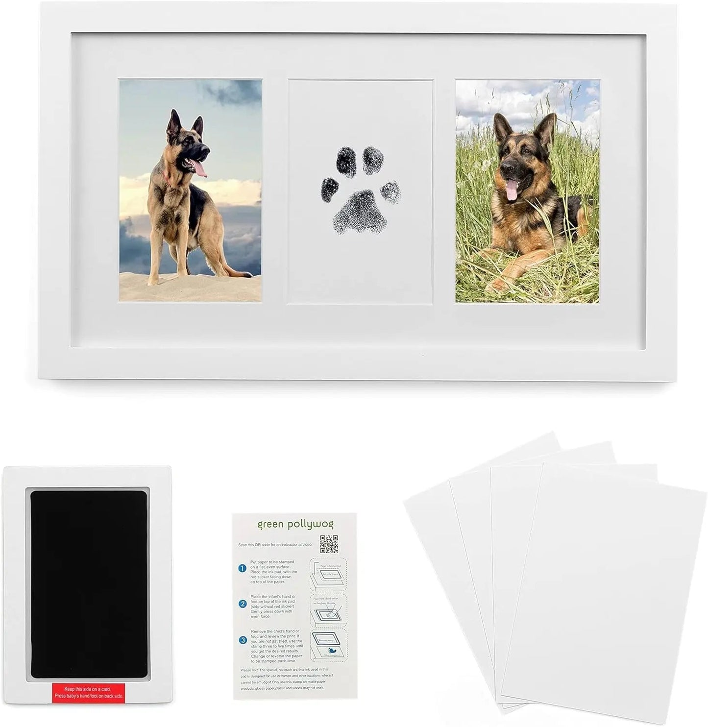 Green Pollywog Pet Memorial Shadowbox | Collar, Tag & Photo Keepsake