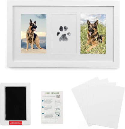 Green Pollywog Pet Memorial Shadowbox | Collar, Tag & Photo Keepsake