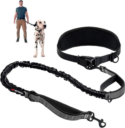 Hands Free Dog Leash Heavy Duty Bungee Waist Belt Reflective Training